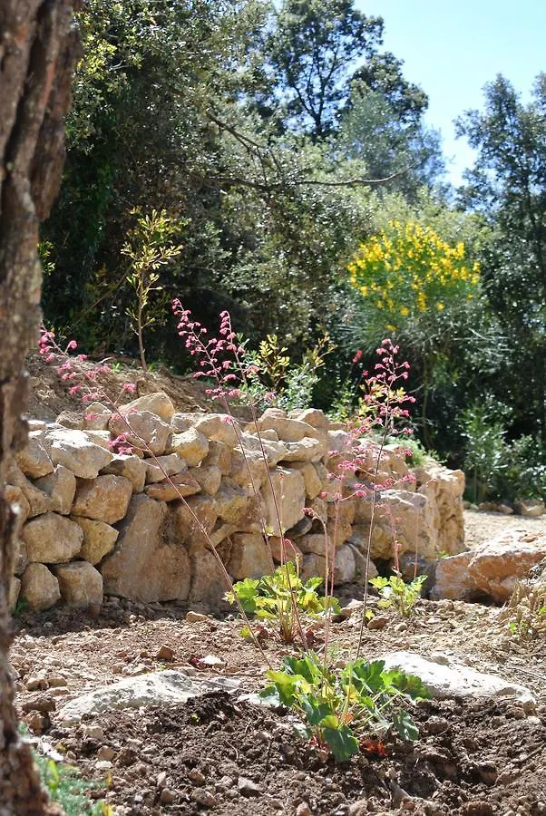 Bed & Breakfast Carpe Diem Residence Hoteliere Lorgues
